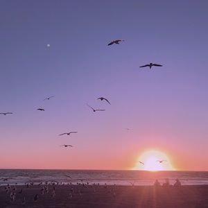 Meet your Posher, Honglin